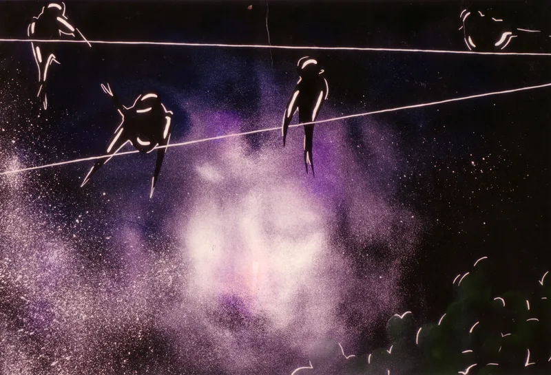 birds