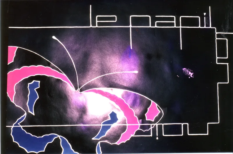 le papillon noir