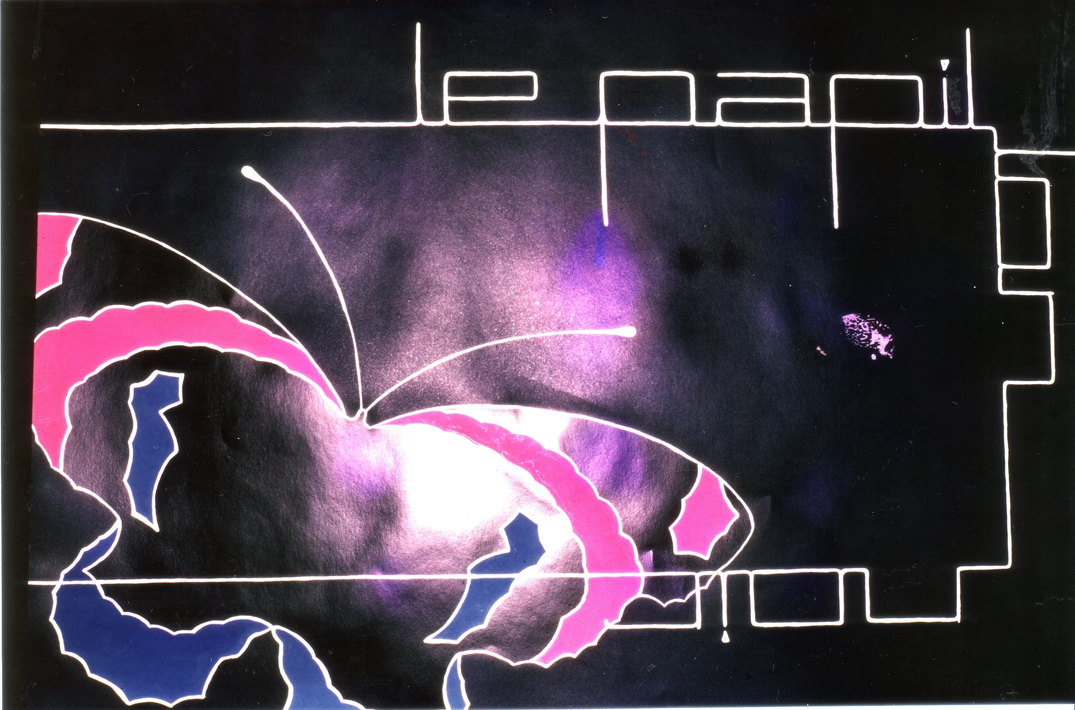 le papillon noir